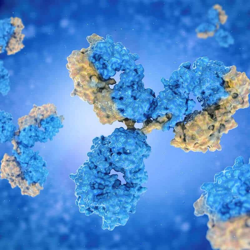 AbLeads develops personalized antibody therapies