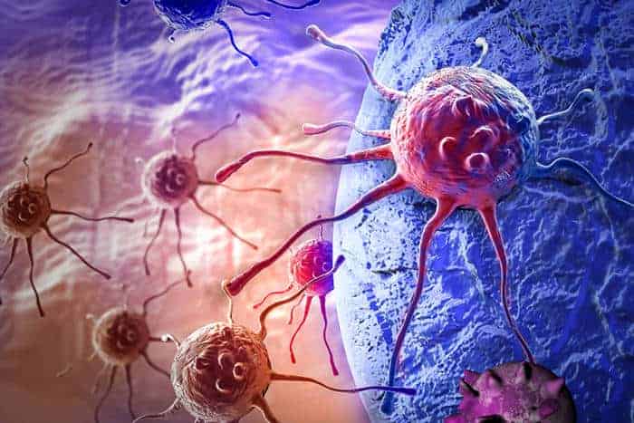 Immunotherapy allows immune cells to attack cancer cells