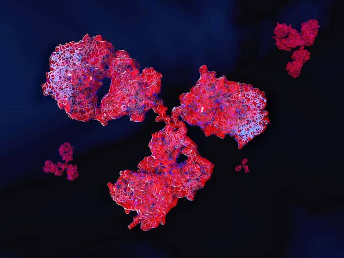 Développer des anticorps personnalisés pour cibler les mutations patient-spécifiques